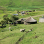 Lesotho Rejoices over Bibles! Harvesters Ministries. Feb 2020 Featured Image