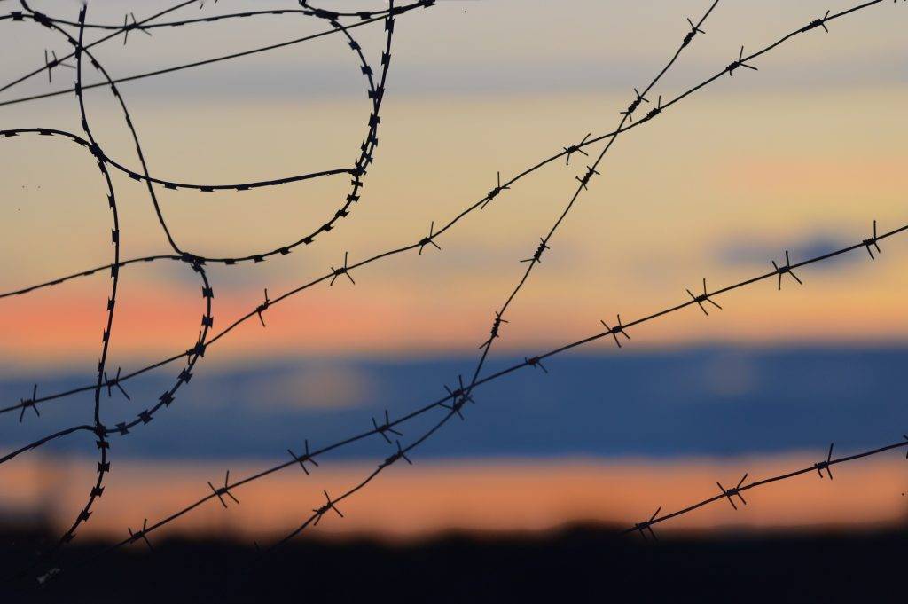 Barbed wire fence