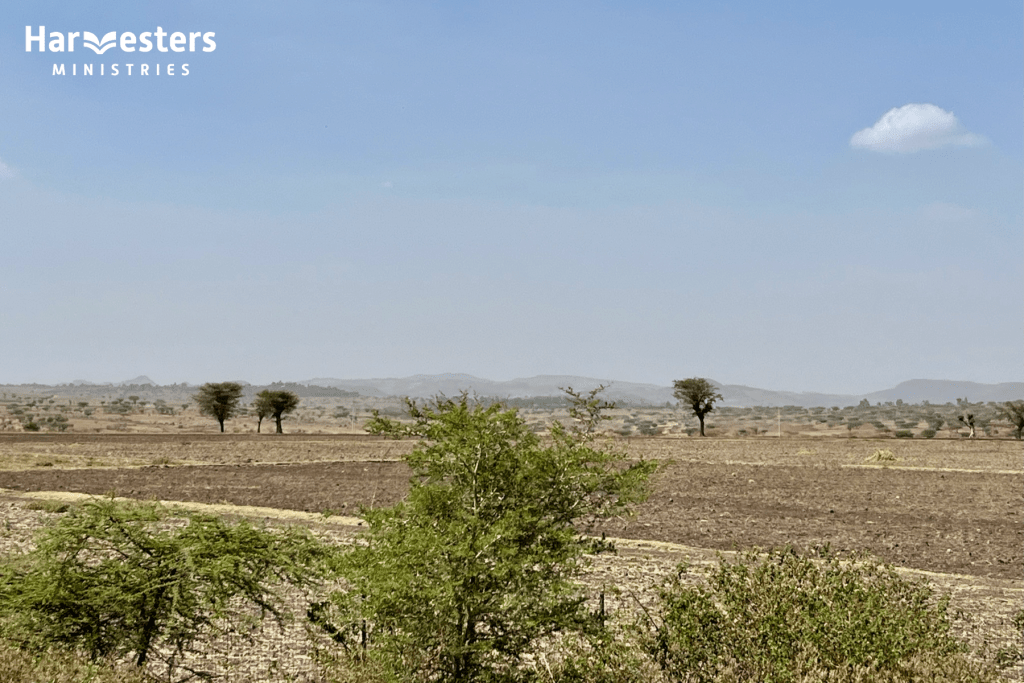 Dry ground. Pray Ethiopia. Harvesters Ministries