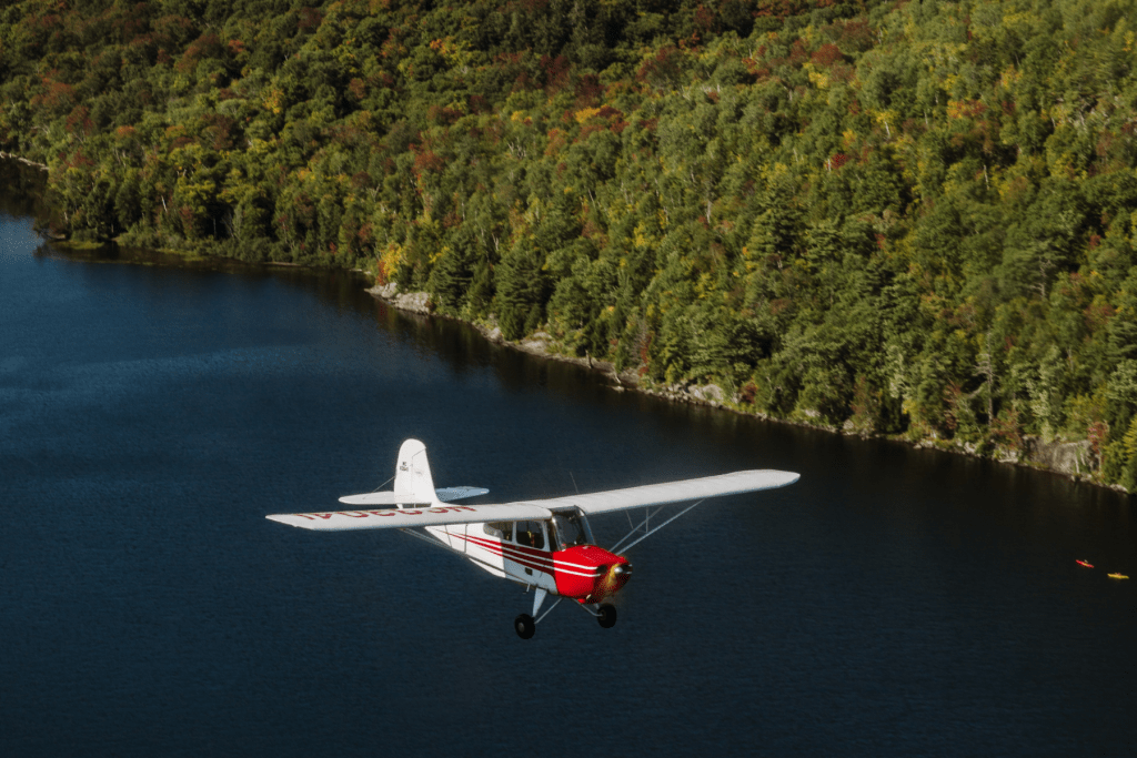 Scouting the Amazon