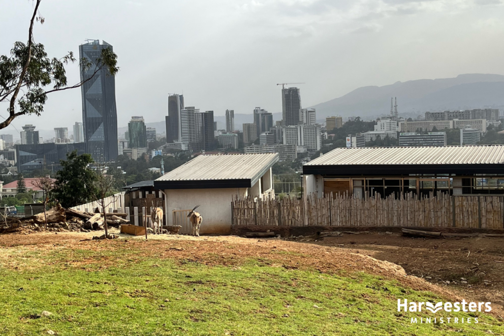 Rural and metropolitan Ethiopia. Harvesters Ministries